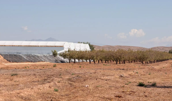 Campas de coches en invernaderos: la nueva inversión junto al aeropuerto Alicante-Elche
