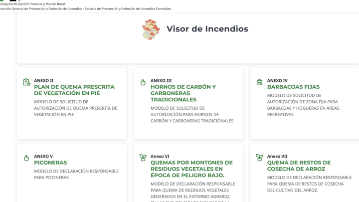 Declaración responsable online: lo que debes saber si usas piconeras, barbacoas o participas en romerías
