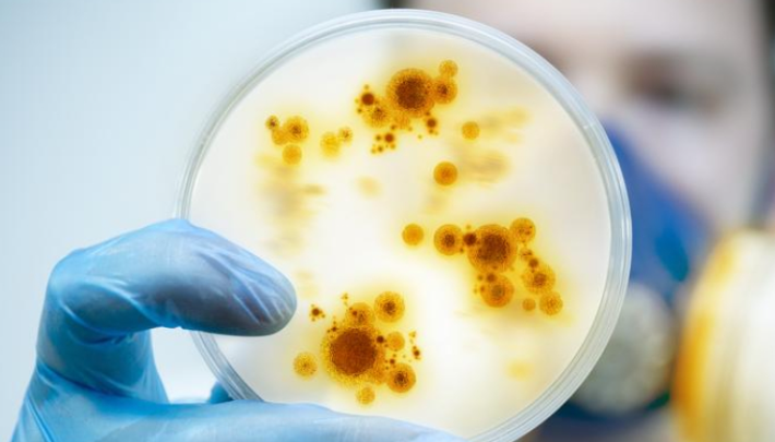 Cómo las superbacterias en los hospitales superan al tráfico como causa de muerte en España